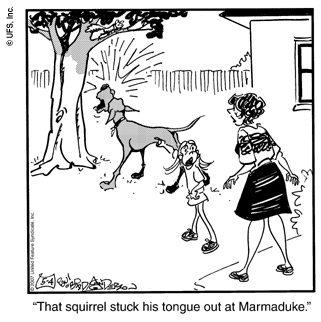 marmaduke